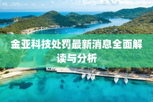 金亚科技处罚最新消息全面解读与分析