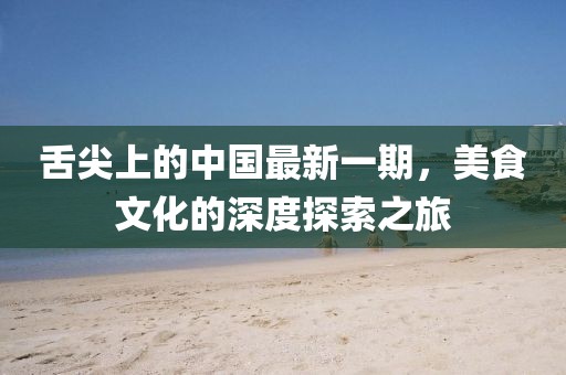 舌尖上的中国最新一期，美食文化的深度探索之旅