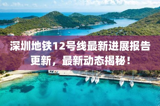 深圳地铁12号线最新进展报告更新，最新动态揭秘！