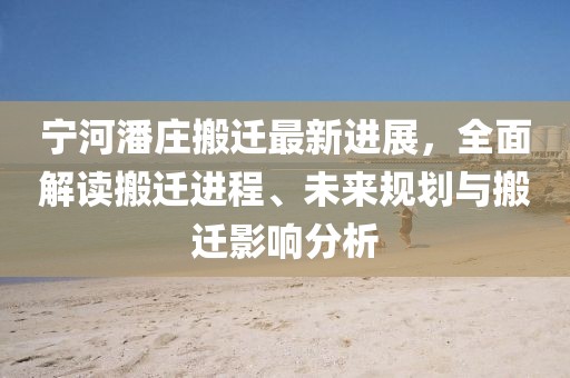 宁河潘庄搬迁最新进展，全面解读搬迁进程、未来规划与搬迁影响分析