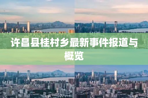 许昌县桂村乡最新事件报道与概览