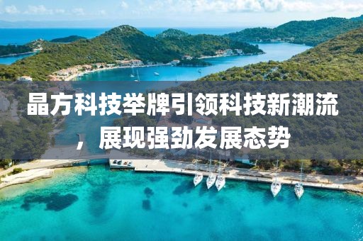 晶方科技举牌引领科技新潮流，展现强劲发展态势