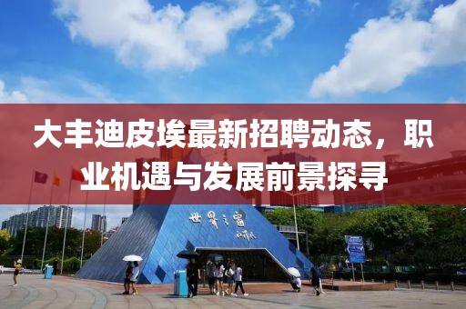 大丰迪皮埃最新招聘动态，职业机遇与发展前景探寻