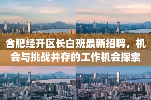 合肥经开区长白班最新招聘，机会与挑战并存的工作机会探索