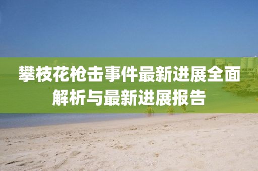 攀枝花枪击事件最新进展全面解析与最新进展报告