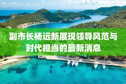 副市长杨远新展现领导风范与时代担当的最新消息