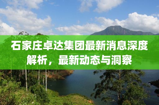 石家庄卓达集团最新消息深度解析，最新动态与洞察