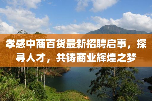 孝感中商百货最新招聘启事，探寻人才，共铸商业辉煌之梦