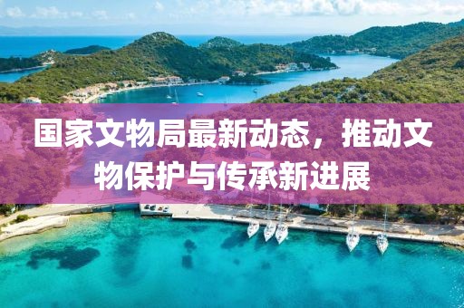 国家文物局最新动态，推动文物保护与传承新进展