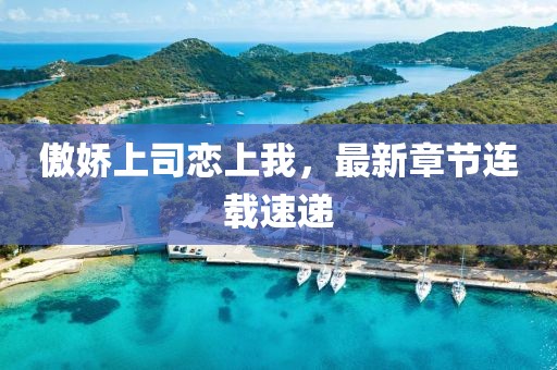 傲娇上司恋上我，最新章节连载速递