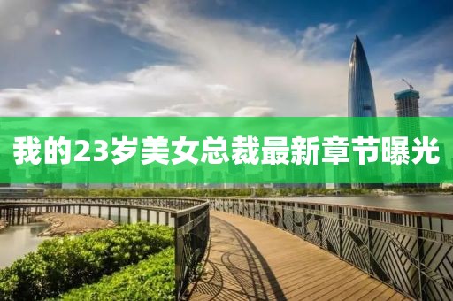 我的23岁美女总裁最新章节曝光