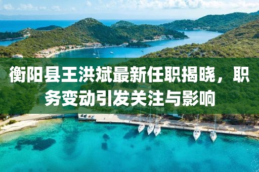 衡阳县王洪斌最新任职揭晓，职务变动引发关注与影响