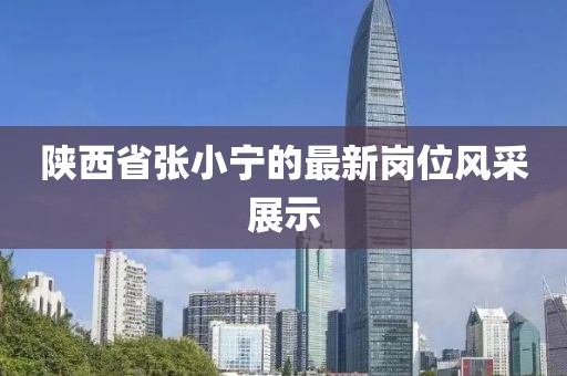 陕西省张小宁的最新岗位风采展示
