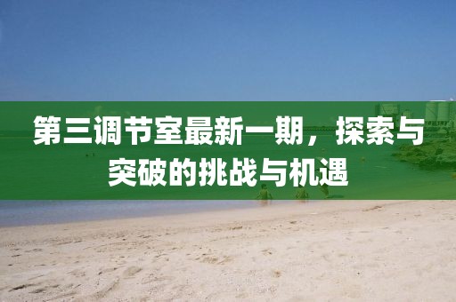 第三调节室最新一期，探索与突破的挑战与机遇