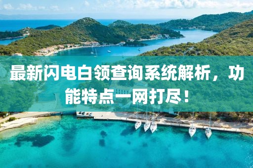 最新闪电白领查询系统解析，功能特点一网打尽！