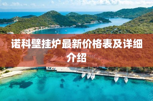 诺科壁挂炉最新价格表及详细介绍
