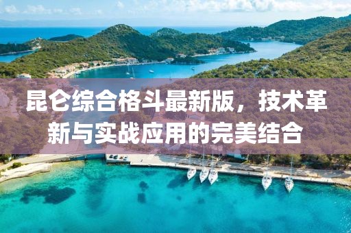 昆仑综合格斗最新版，技术革新与实战应用的完美结合