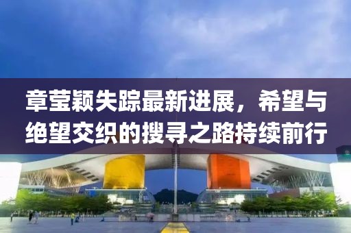 章莹颖失踪最新进展，希望与绝望交织的搜寻之路持续前行