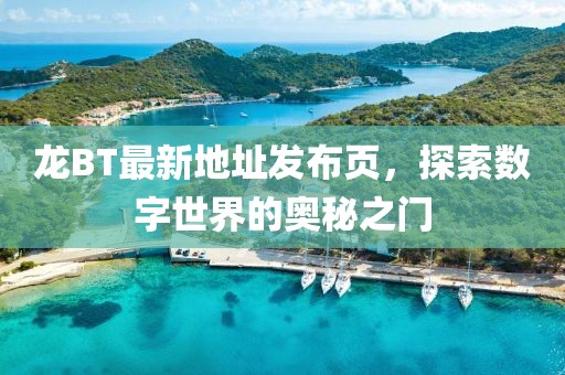 龙BT最新地址发布页，探索数字世界的奥秘之门