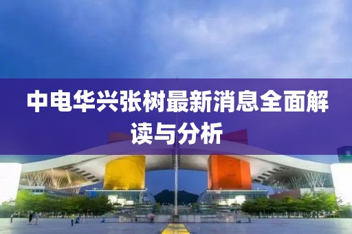 中电华兴张树最新消息全面解读与分析