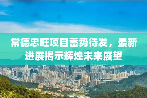 常德忠旺项目蓄势待发，最新进展揭示辉煌未来展望