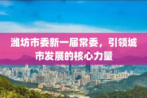 潍坊市委新一届常委，引领城市发展的核心力量