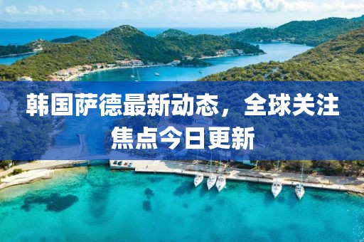 韩国萨德最新动态，全球关注焦点今日更新