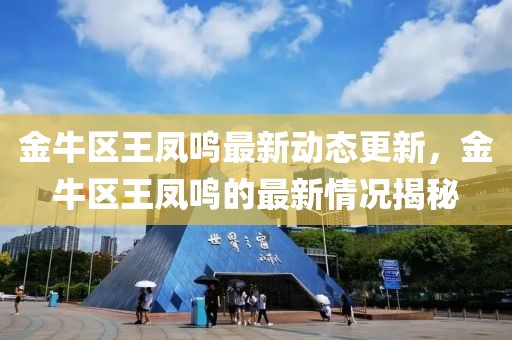 金牛区王凤鸣最新动态更新，金牛区王凤鸣的最新情况揭秘