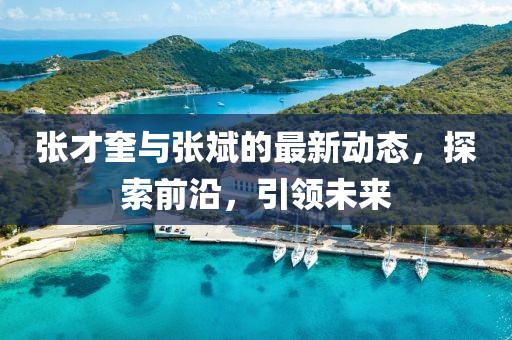 张才奎与张斌的最新动态，探索前沿，引领未来
