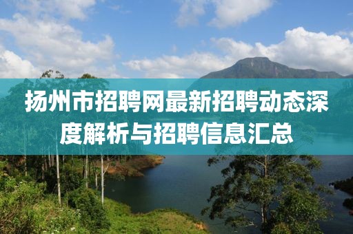 扬州市招聘网最新招聘动态深度解析与招聘信息汇总