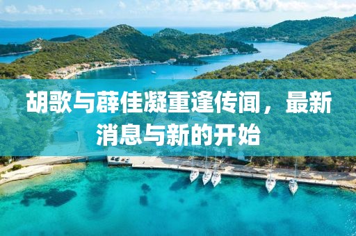 胡歌与薜佳凝重逢传闻，最新消息与新的开始