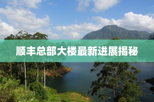 顺丰总部大楼最新进展揭秘