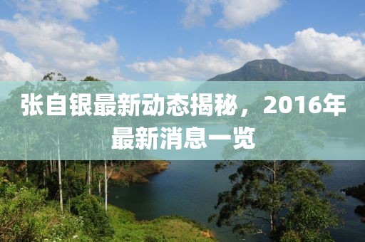 张自银最新动态揭秘，2016年最新消息一览