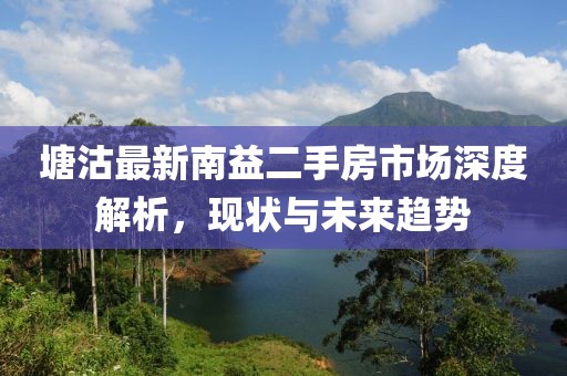塘沽最新南益二手房市场深度解析，现状与未来趋势