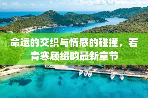 命运的交织与情感的碰撞，若青寒顾绍昀最新章节