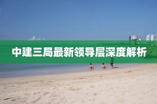 中建三局最新领导层深度解析