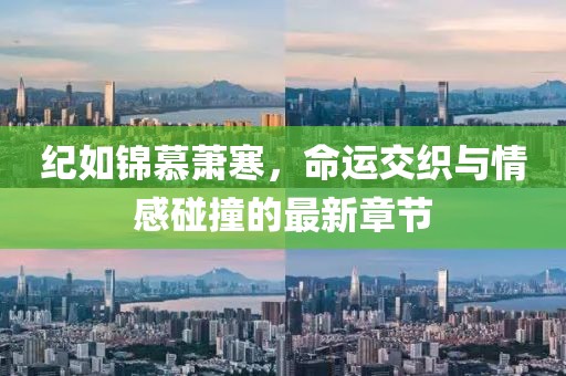 纪如锦慕萧寒，命运交织与情感碰撞的最新章节