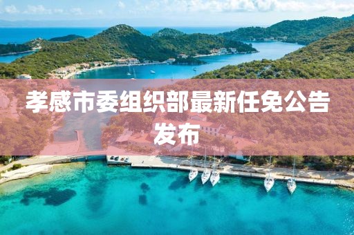 孝感市委组织部最新任免公告发布