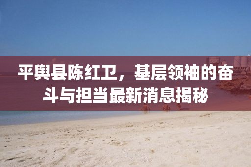 平舆县陈红卫，基层领袖的奋斗与担当最新消息揭秘