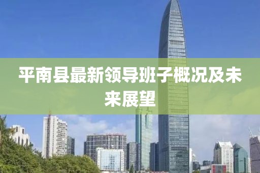 平南县最新领导班子概况及未来展望