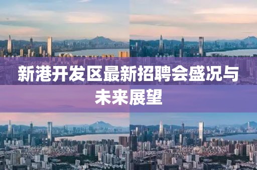 新港开发区最新招聘会盛况与未来展望