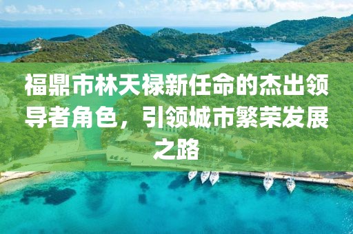 福鼎市林天禄新任命的杰出领导者角色，引领城市繁荣发展之路