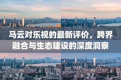 马云对乐视的最新评价，跨界融合与生态建设的深度洞察