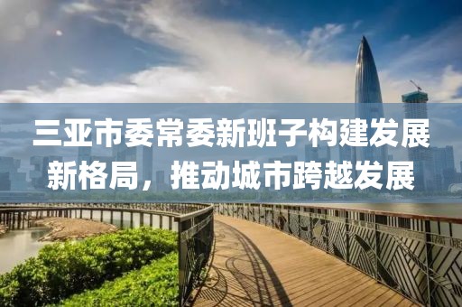 三亚市委常委新班子构建发展新格局，推动城市跨越发展