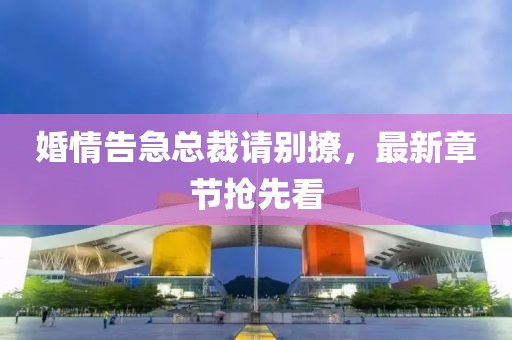 婚情告急总裁请别撩，最新章节抢先看