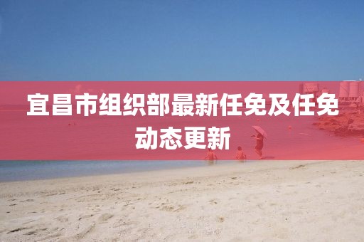 宜昌市组织部最新任免及任免动态更新