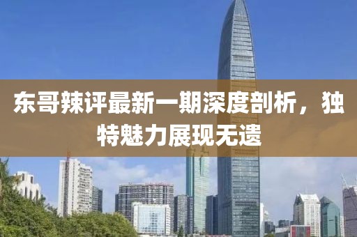 东哥辣评最新一期深度剖析，独特魅力展现无遗