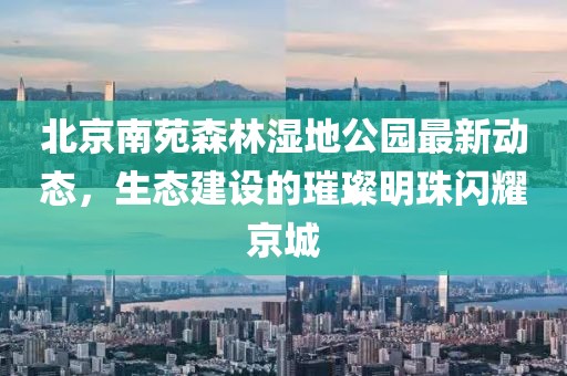 北京南苑森林湿地公园最新动态，生态建设的璀璨明珠闪耀京城