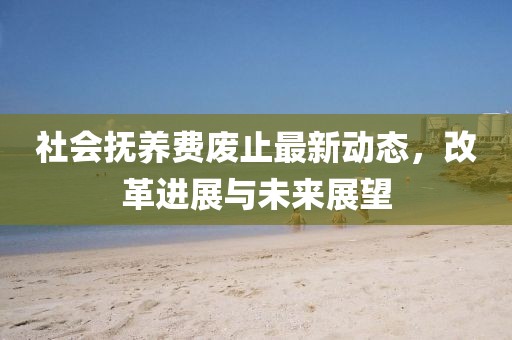 社会抚养费废止最新动态，改革进展与未来展望