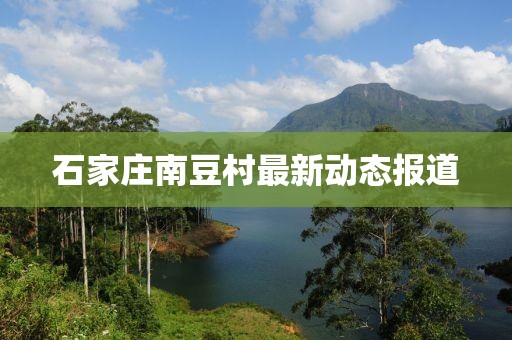 石家庄南豆村最新动态报道
